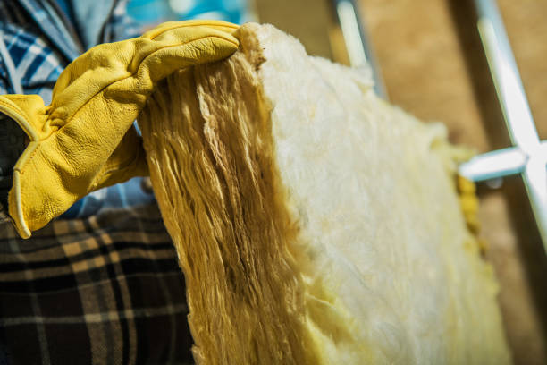Best DIY Insulation Kits and Guidance in Wyndham, VA